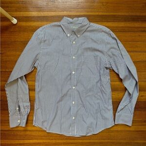 Everlane Maroon and White Striped Shirt